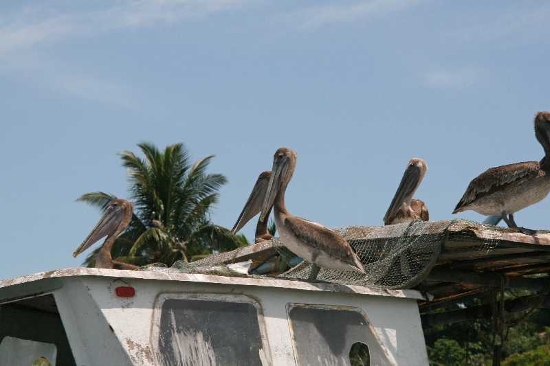 Mexico & Guatemala 2010 - 0994